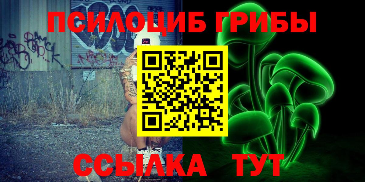 Малгобек  Галлюциногенные грибы Cubensis  Вход с VPN 